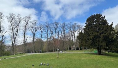 Council bans BBQs in popular park after revellers 'poo in bushes' | UK | News