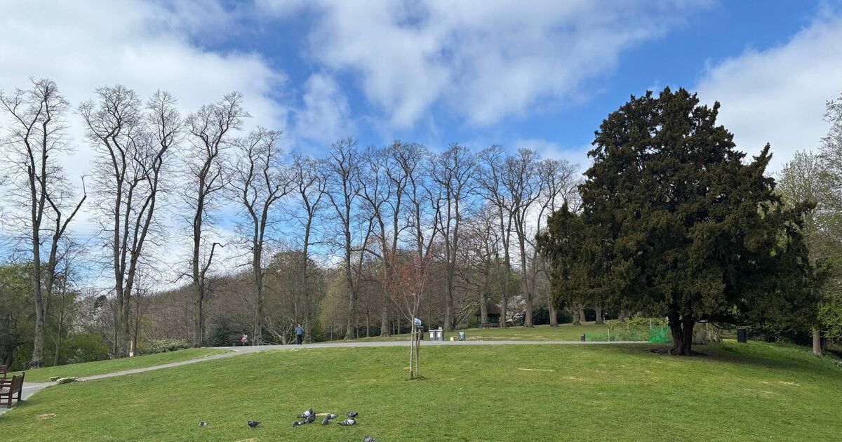 Council bans BBQs in popular park after revellers 'poo in bushes' | UK | News