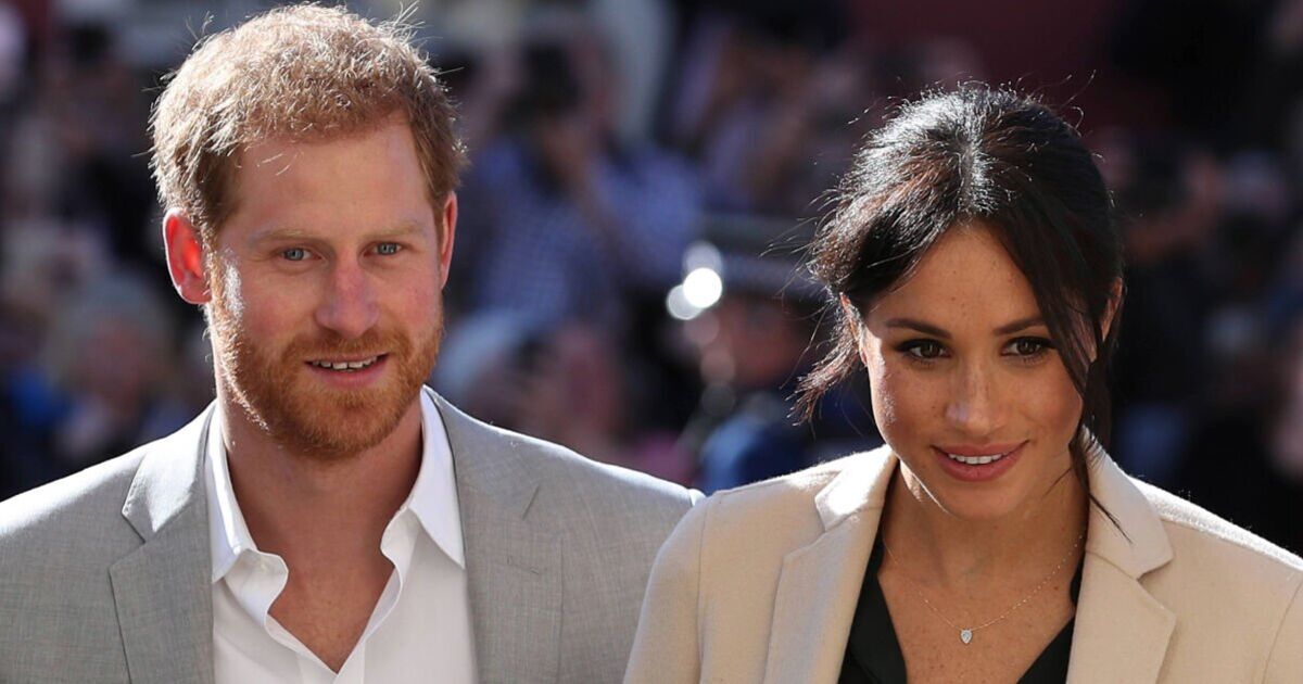 Prince Harry and Meghan were 'drunk on fantasy' of entering Princess Diana's world | Royal | News