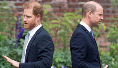 Last time Prince Harry spoke to brother Prince William revealed, | Royal | News