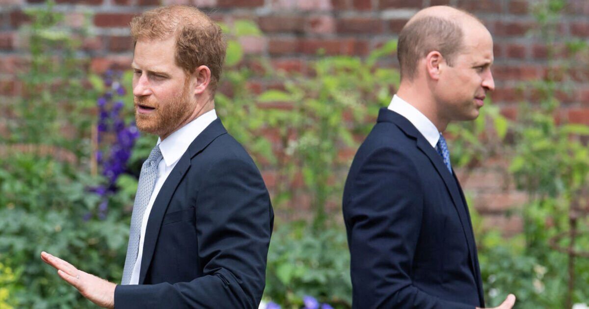 Last time Prince Harry spoke to brother Prince William revealed, | Royal | News