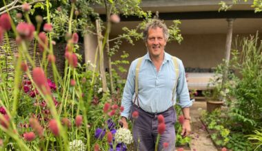 Gardeners' World star Monty Don shares career update as he says 'no more' | Celebrity News | Showbiz & TV