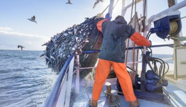 Brexit fishing row as Belgian trawlermen arrested in UK waters - 'Treated like criminals' | UK | News