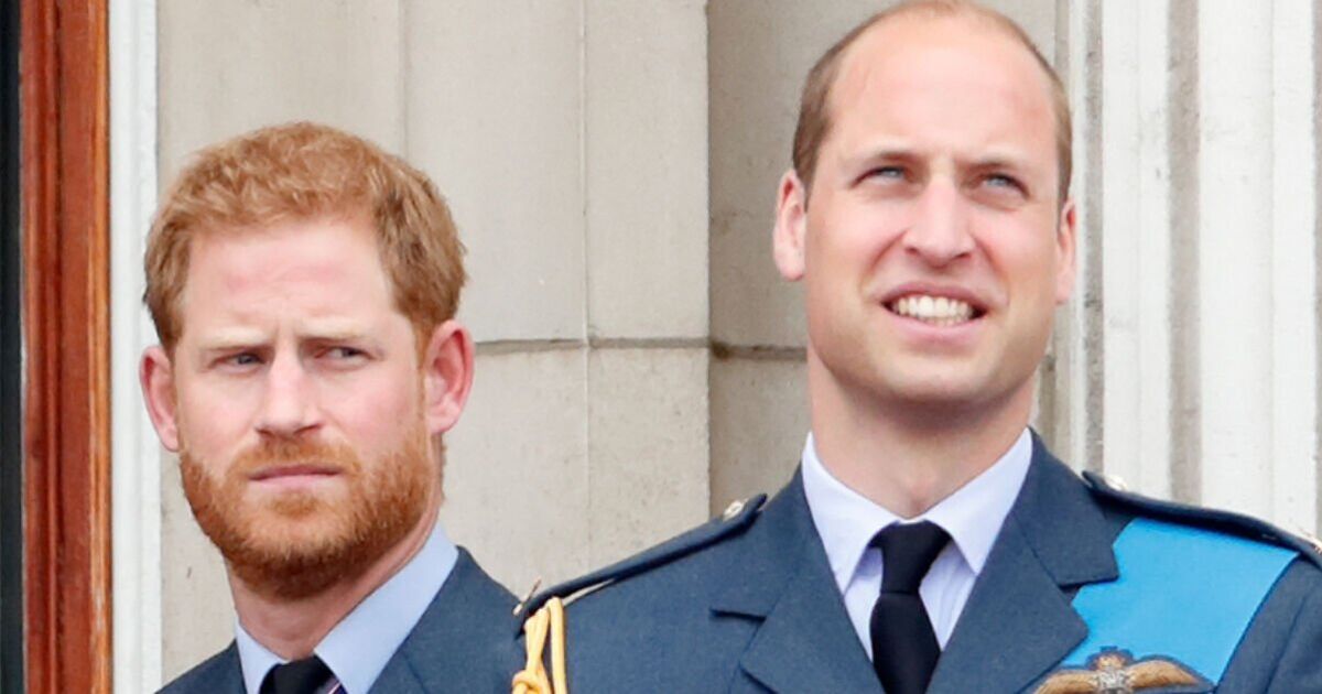 Prince Harry 'planned Ukraine trip to annoy brother' as Prince William banned from going | Royal | News