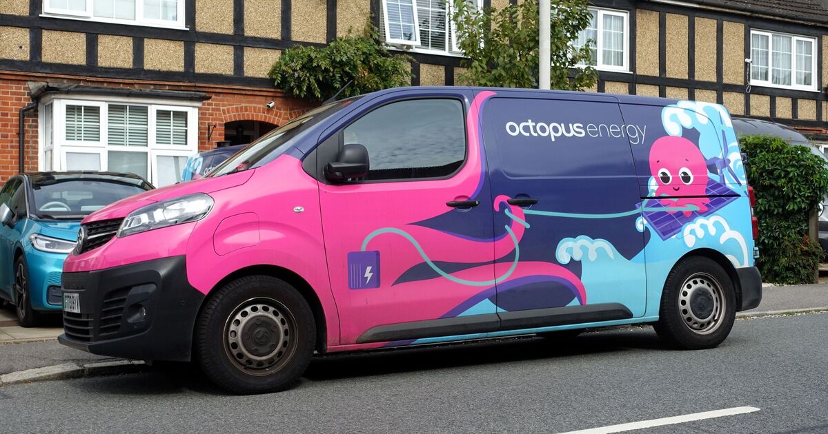 Octopus Energy issues ‘act now’ message as customers to be cut off | UK | News