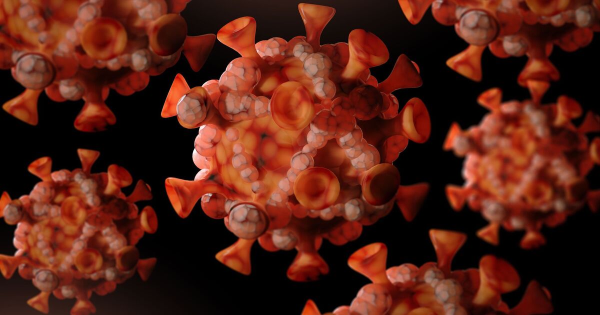 UK hospital urgently tracing patients after contact with rare deadly virus | UK | News