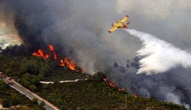 Majorca’s forest fires a ‘ticking time bomb’ | World | News