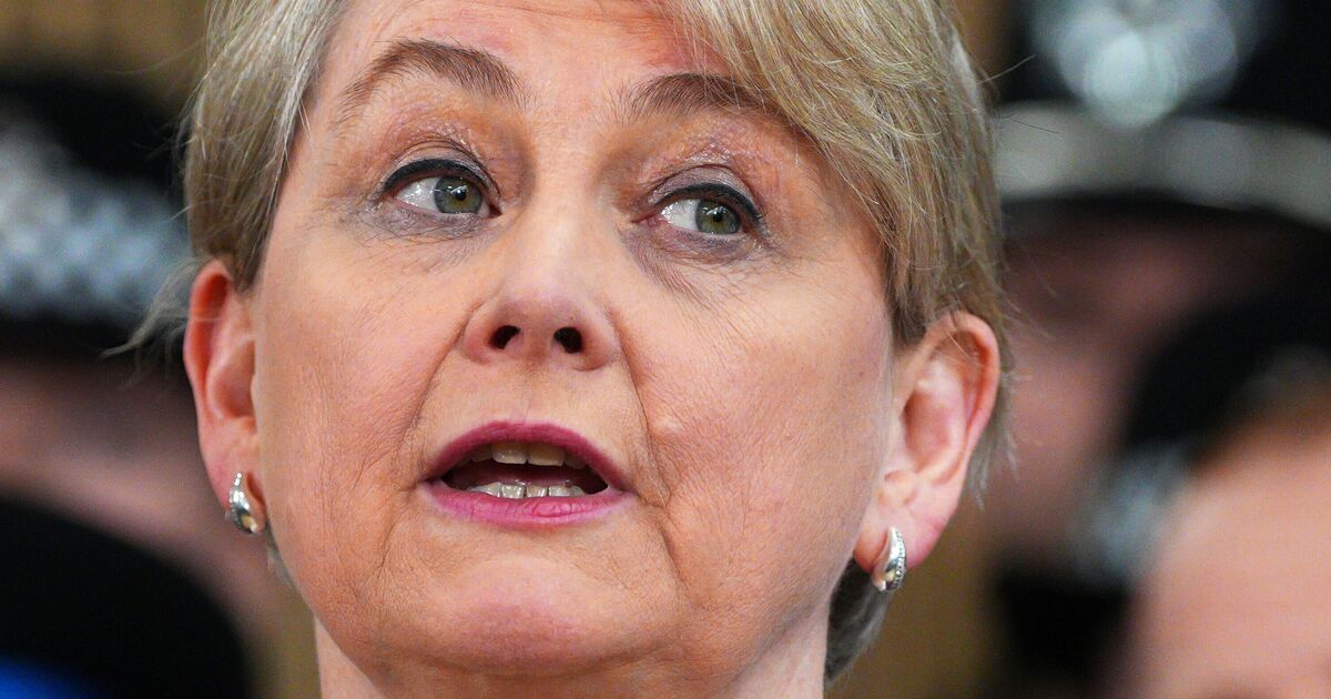 Yvette Cooper ‘open to EU youth mobility scheme’ | Politics | News
