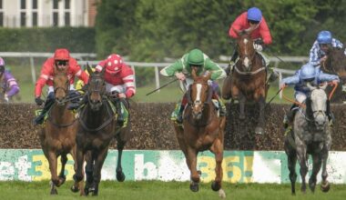 Dancing City dies after horse suffers horror fall at Sandown | Racing | Sport