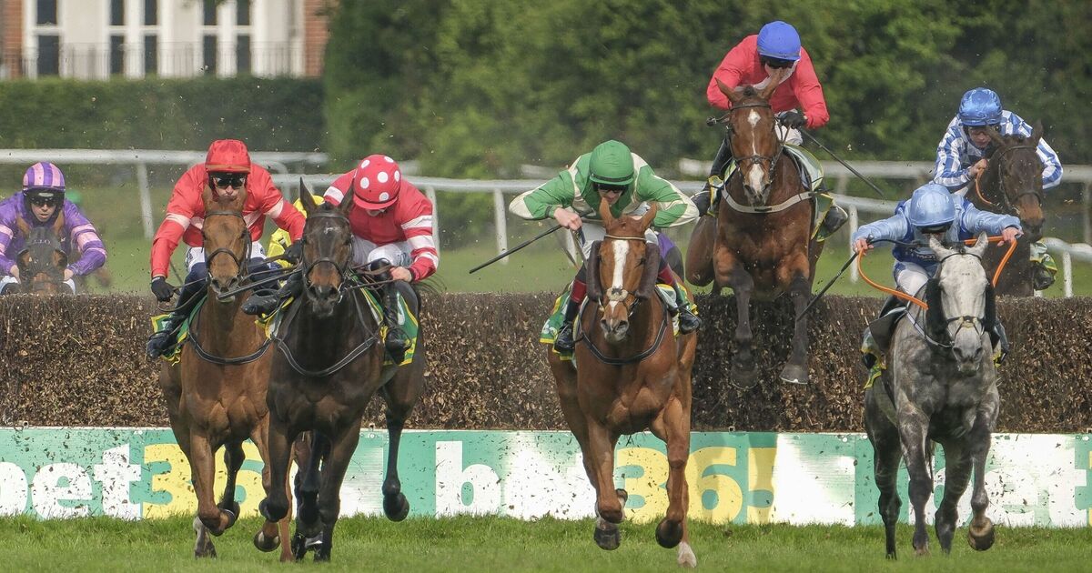 Dancing City dies after horse suffers horror fall at Sandown | Racing | Sport