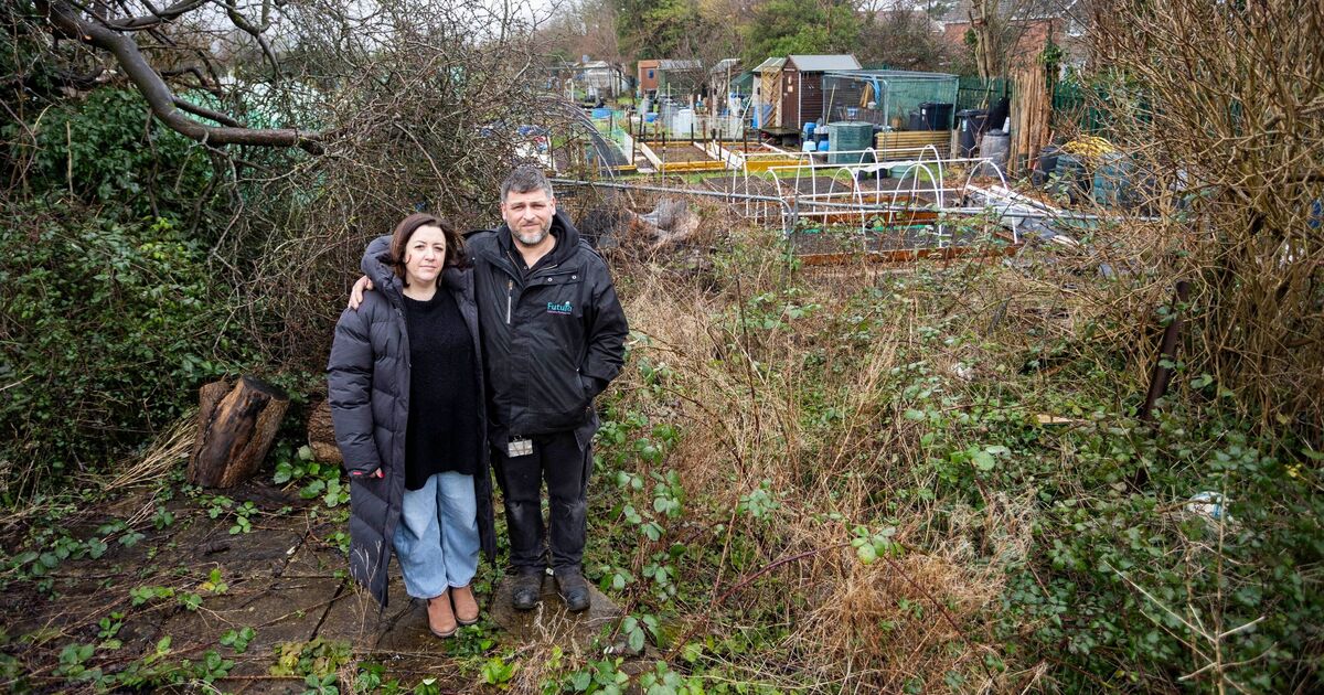 Dad sues council over tree which destroyed his garden and is left with £85k bill | UK | News