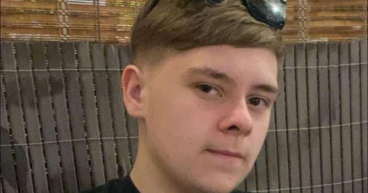 Sheffield school stabbing: Boy, 15, admits manslaughter | UK | News