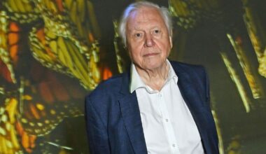 David Attenborough says 'the end is near' in heartbreaking confession | Celebrity News | Showbiz & TV