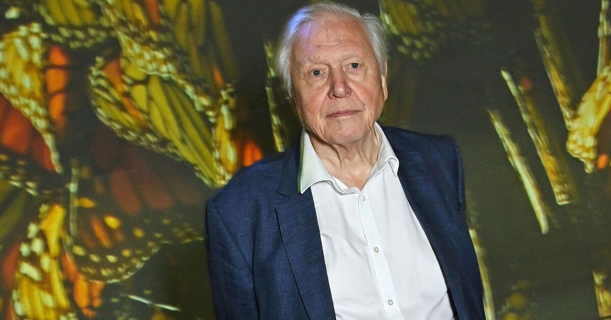 David Attenborough says 'the end is near' in heartbreaking confession | Celebrity News | Showbiz & TV