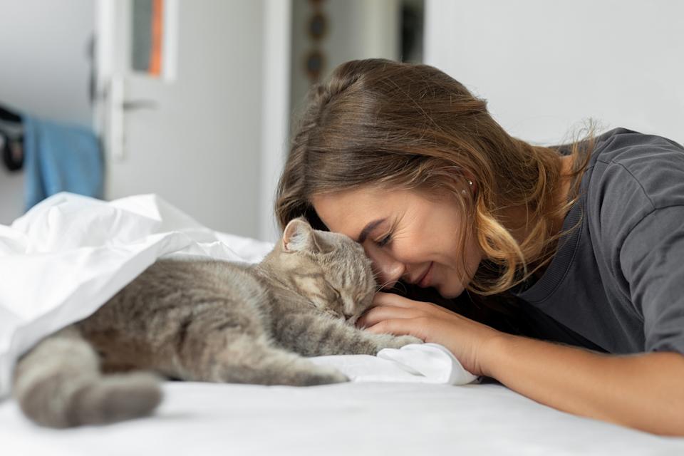 Woman gently rests her head against a sleeping cat on a bed, both appearing relaxed and content
