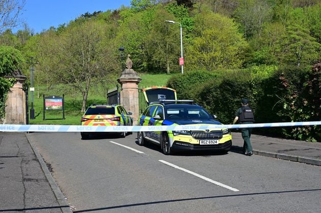 Cave Hill pipe bombs and ammo haul linked to leader of Belfast crime gang - Belfast Telegraph