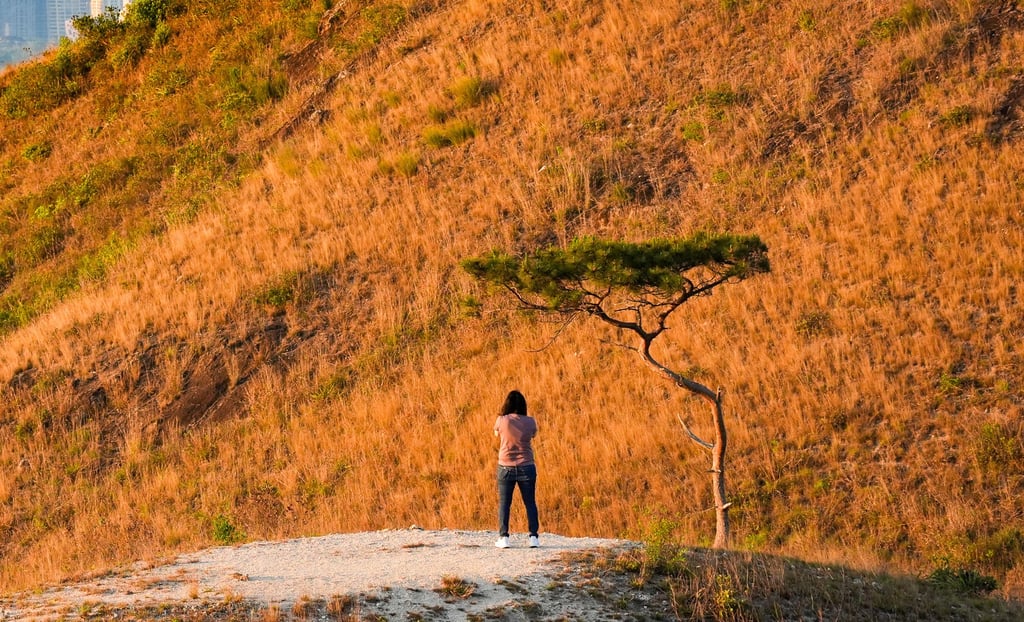 More US adults are recognising the importance of stepping back from work to deal with emotional burdens or psychological conditions. Photo: Eugene Lee