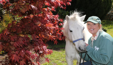 Pony therapy brings comfort and joy to Northern Ireland’s North Coast