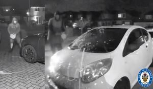 The men were captured on CCTV throwing paint over cars and the front of a house. 