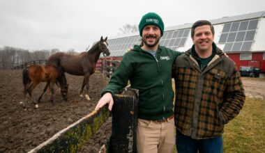 From horse racing to honeybees and lettuce: How this family-run business is pivoting for future generations