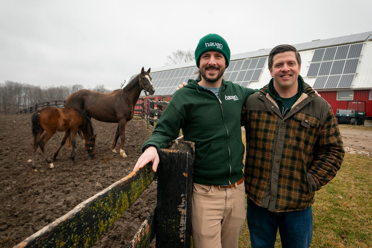 From horse racing to honeybees and lettuce: How this family-run business is pivoting for future generations