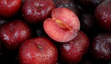 Are plums good for you?