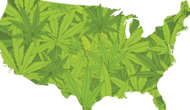 Which states have legal weed? See where marijuana has been legalized