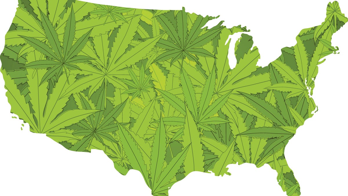 Which states have legal weed? See where marijuana has been legalized