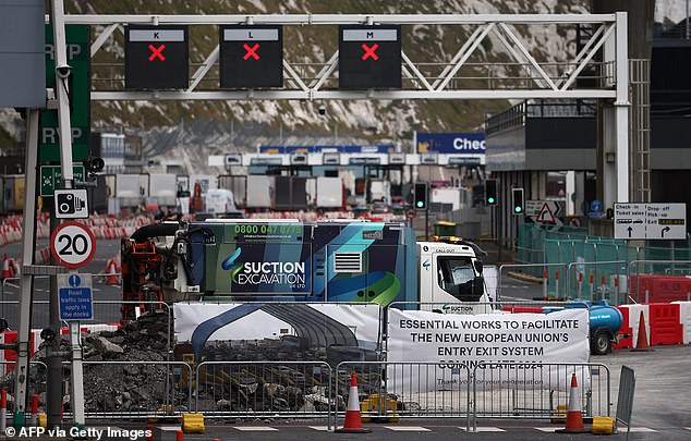 The Department for Transport gave £10.5million for border upgrades like the huge processing area newly installed in Dover
