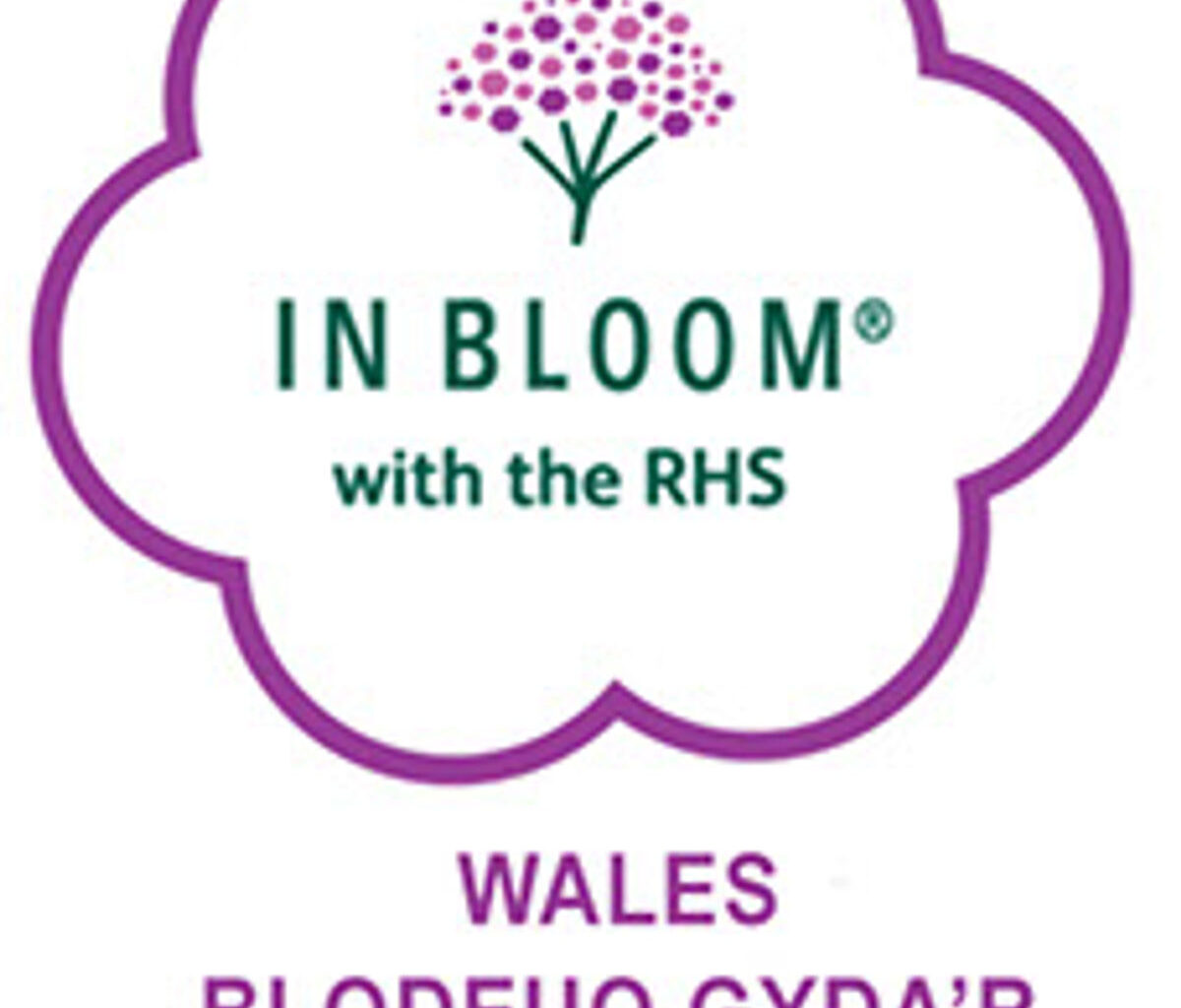 Knighton has submitted an application for this year’s Wales in Bloom competition
