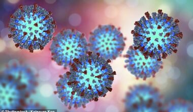 The number of measles cases across Western Australia has grown to eight
