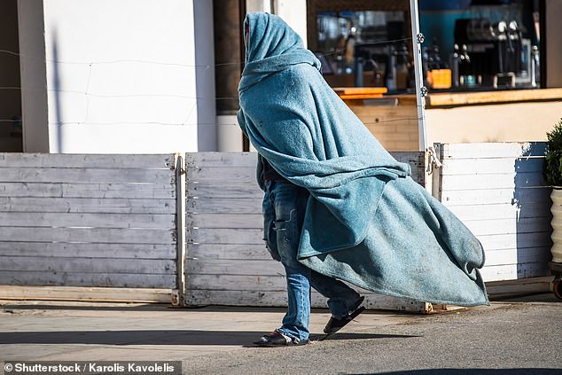 Dr Max has been involved in outreach projects which proactively help homeless people. In Los Angeles (pictured), a doctor he was interviewing said: 'Who'd pay for these kinds of projects?'