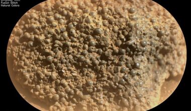 This image from NASA¿s Mars Perseverance rover reveals hundreds of strange, spherical-shaped objects comprising the rock. Perseverance acquired this image on March 11, 2025, or sol 1442 (Martian day 1,442 of its mission)