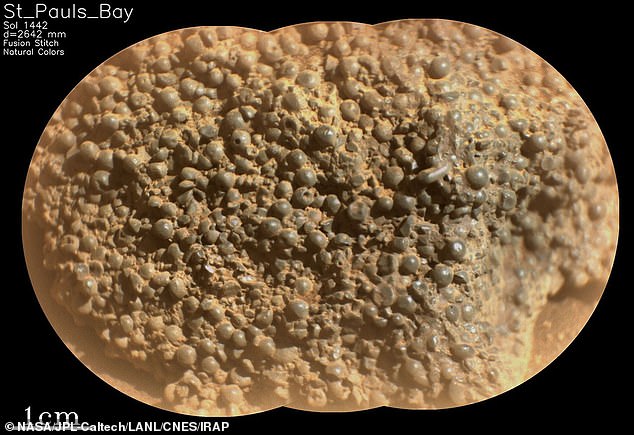 This image from NASA¿s Mars Perseverance rover reveals hundreds of strange, spherical-shaped objects comprising the rock. Perseverance acquired this image on March 11, 2025, or sol 1442 (Martian day 1,442 of its mission)