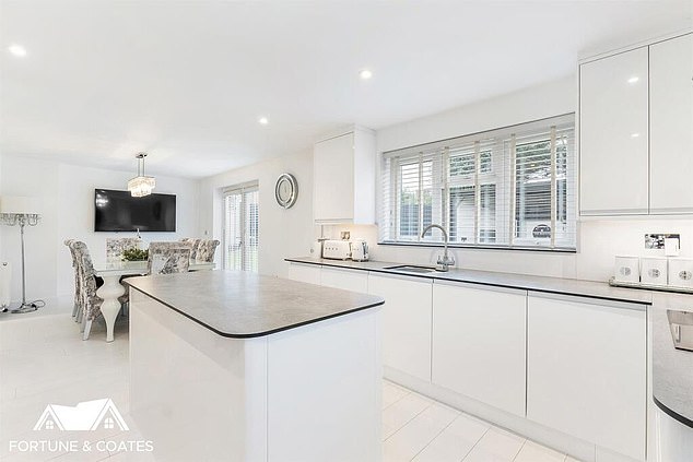One person who definitely won't be putting in a bid added: 'I couldn't live there, it feels like you're looking at a clinically clean biolab or something'