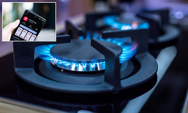 Collapse: Rebel Energy has ceased trading leaving its 90,000 customers without a supplier