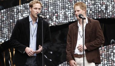 Prince William and Prince Harry organised the Concert for Diana to mark the tenth anniversary of their mother's death