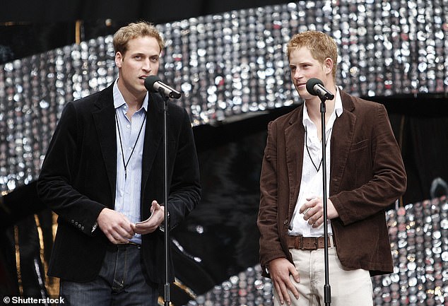 Prince William and Prince Harry organised the Concert for Diana to mark the tenth anniversary of their mother's death