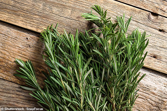 Dr Maisel said: 'Everybody eats rosemary. They all grow it, they use it as a garnish and they use it in oils. They eat a lot and it's packed with compounds that possibly help micro-circulation