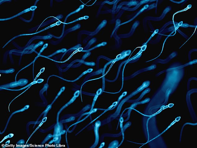 The average man will make millions of sperm cells every day, that then take about three months to fully mature