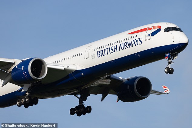 Grounded: Avios looters get into BA customers' accounts by using the customer's own email address and guess the password