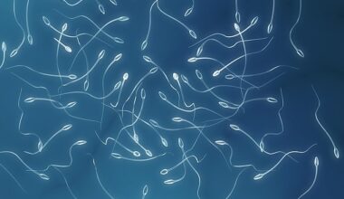 A man in his early 20s has received the world's first sperm-making stem cell transplant, and this new procedure could be groundbreaking for infertility treatment