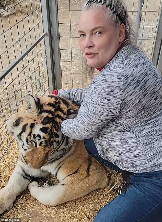Griffiths (pictured) said the way the tigers were transported during the seizure also frightened her. ¿You don¿t transfer animals in a cargo trailer,' she said