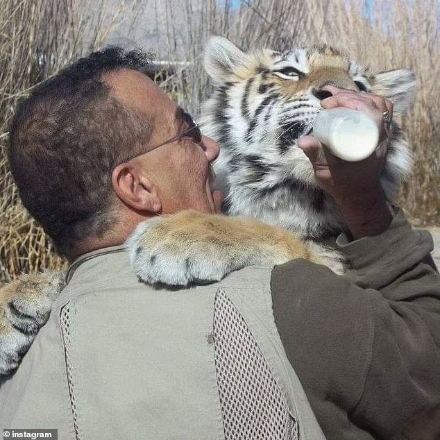 Mitchell and Griffiths are currently working with their attorneys to schedule an emergency evidentiary hearing so they can fight to get their tigers back