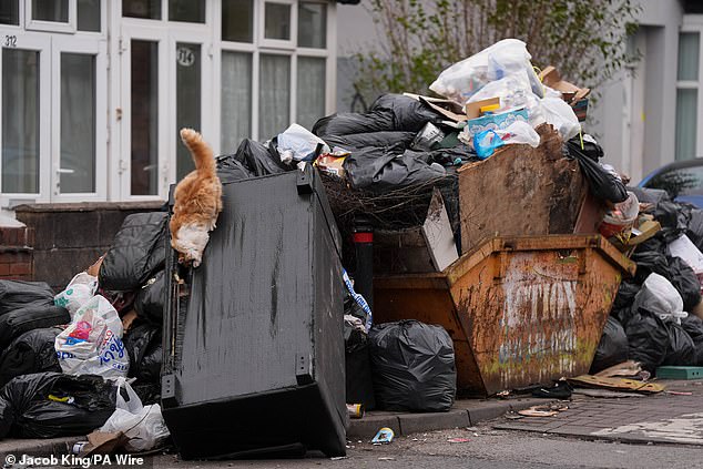 The problem with fly-tipped waste has become so extreme it has led to an explosion in the vermin population of the city