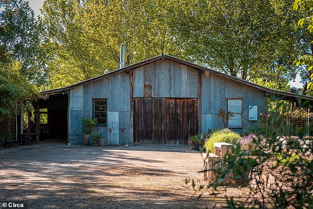 'When I found this place, it was a bare, depleted timber mill site. No gardens, no topsoil. Just a couple of rustic structures and paddocks that had been stripped back by years of milling,' Genevieve told FEMAIL