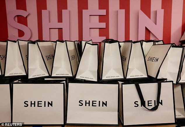 Results: Shein's net profits slumped by almost 40 per cent to £792million in 2024