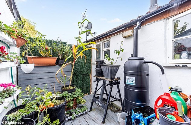The £110,000 home also has a garden, where the home-owner is growing an array of plants