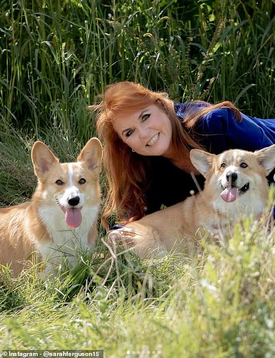 Elsewhere, Sarah Ferguson also took to social media to mark National Pet Day, sharing a slideshow of sweet pictures of her dogs