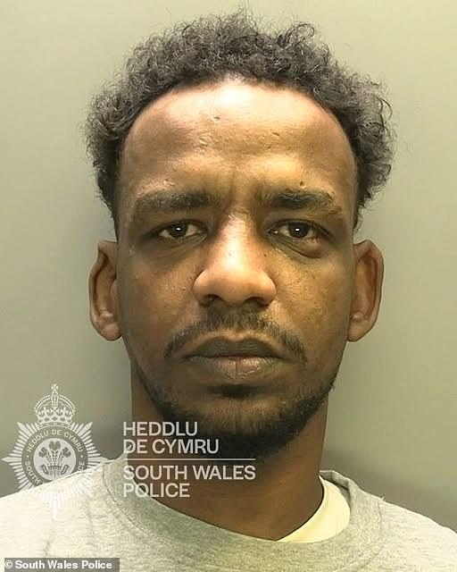In January, Ali Hamad (pictured) was jailed for eight months after being found guilty of assaulting ¿two lone females¿ who were walking home after a night out in Cardiff